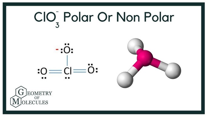 is n2 polar