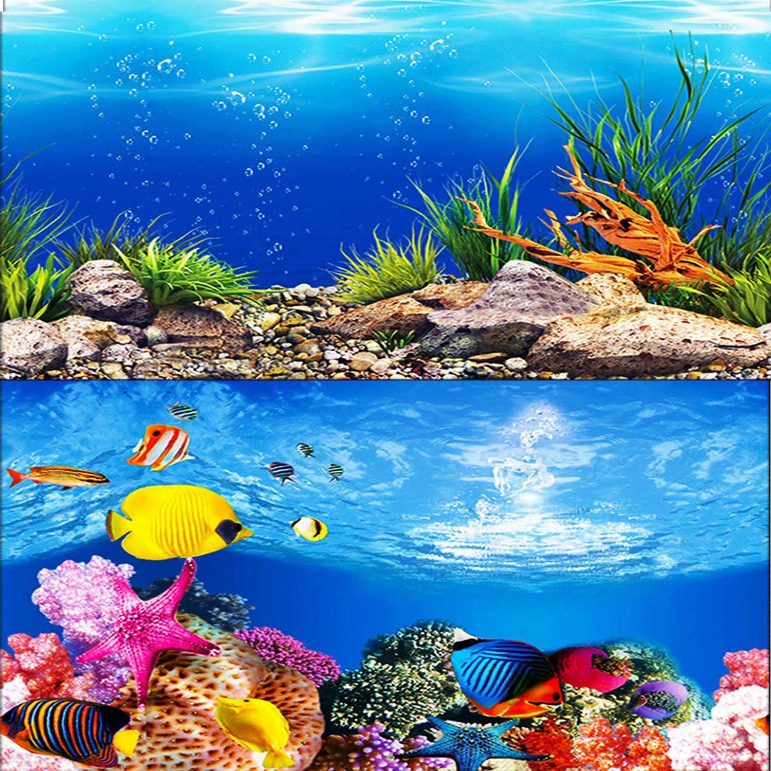 background poster for fish tank