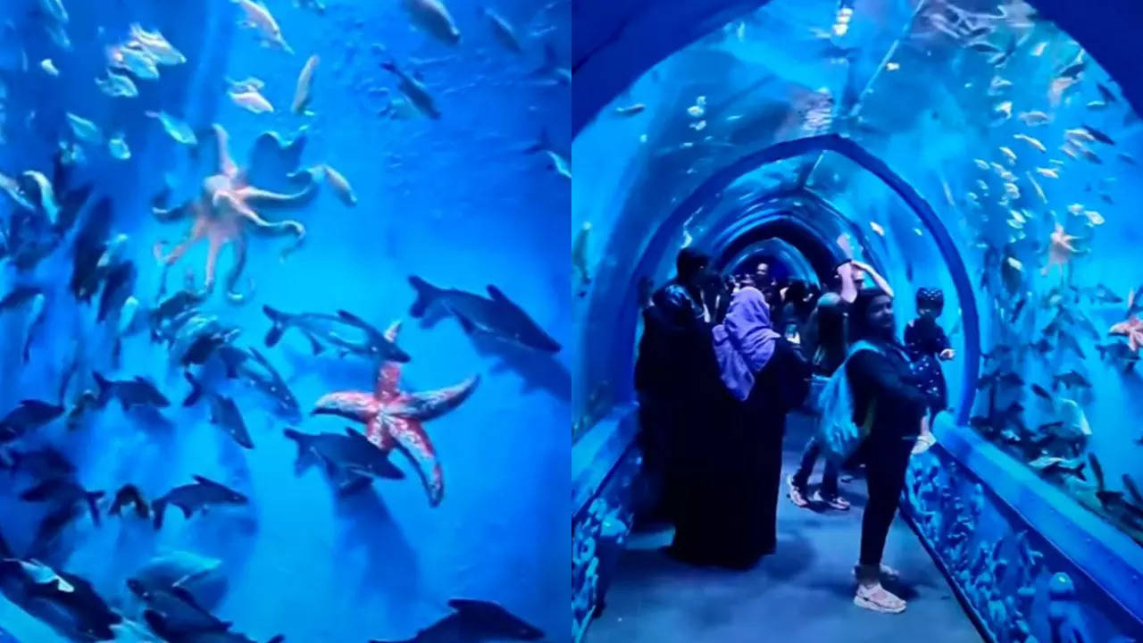 bangalore sea tunnel aquarium