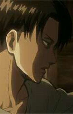 levi x reader smut