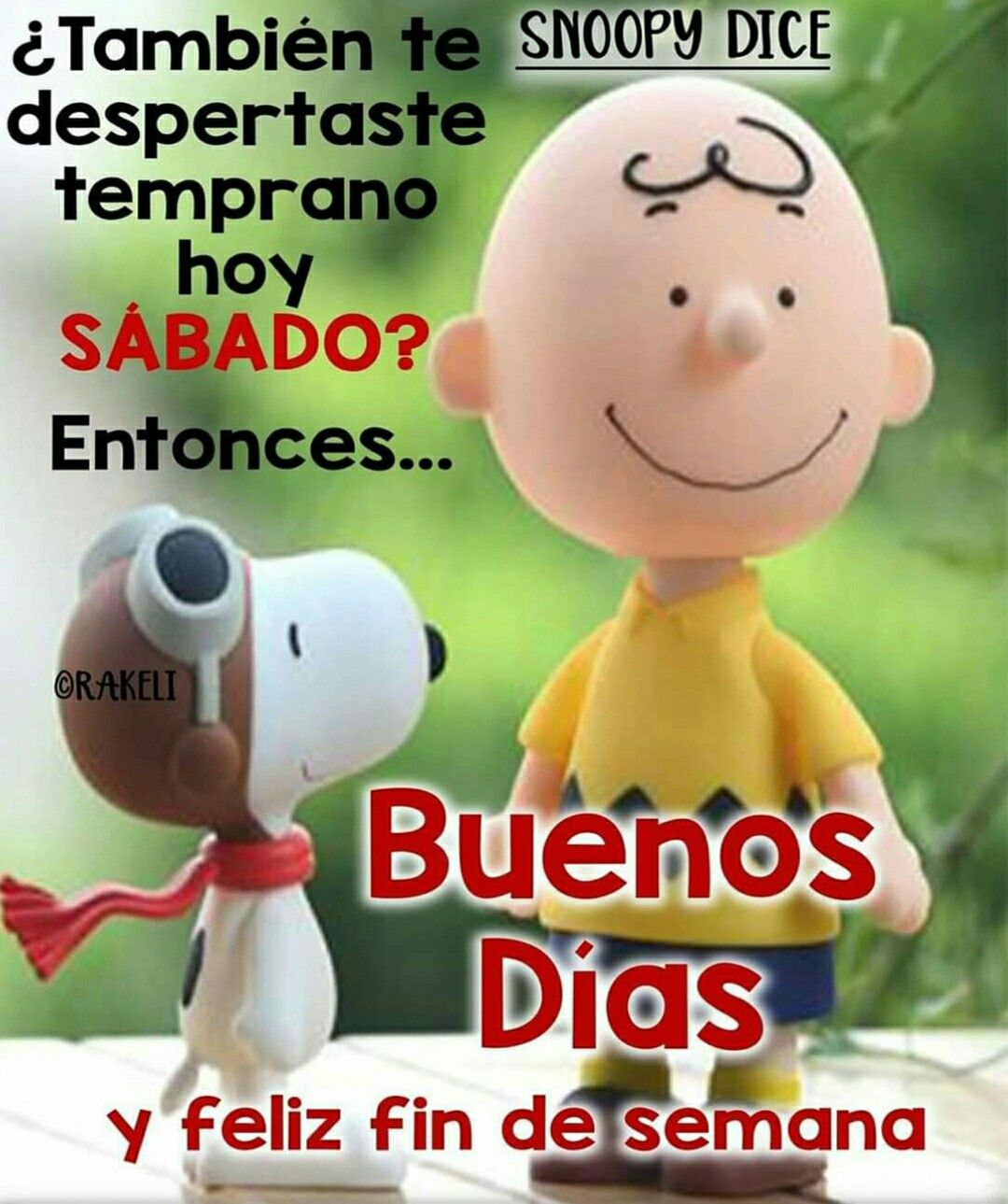 feliz fin de semana snoopy