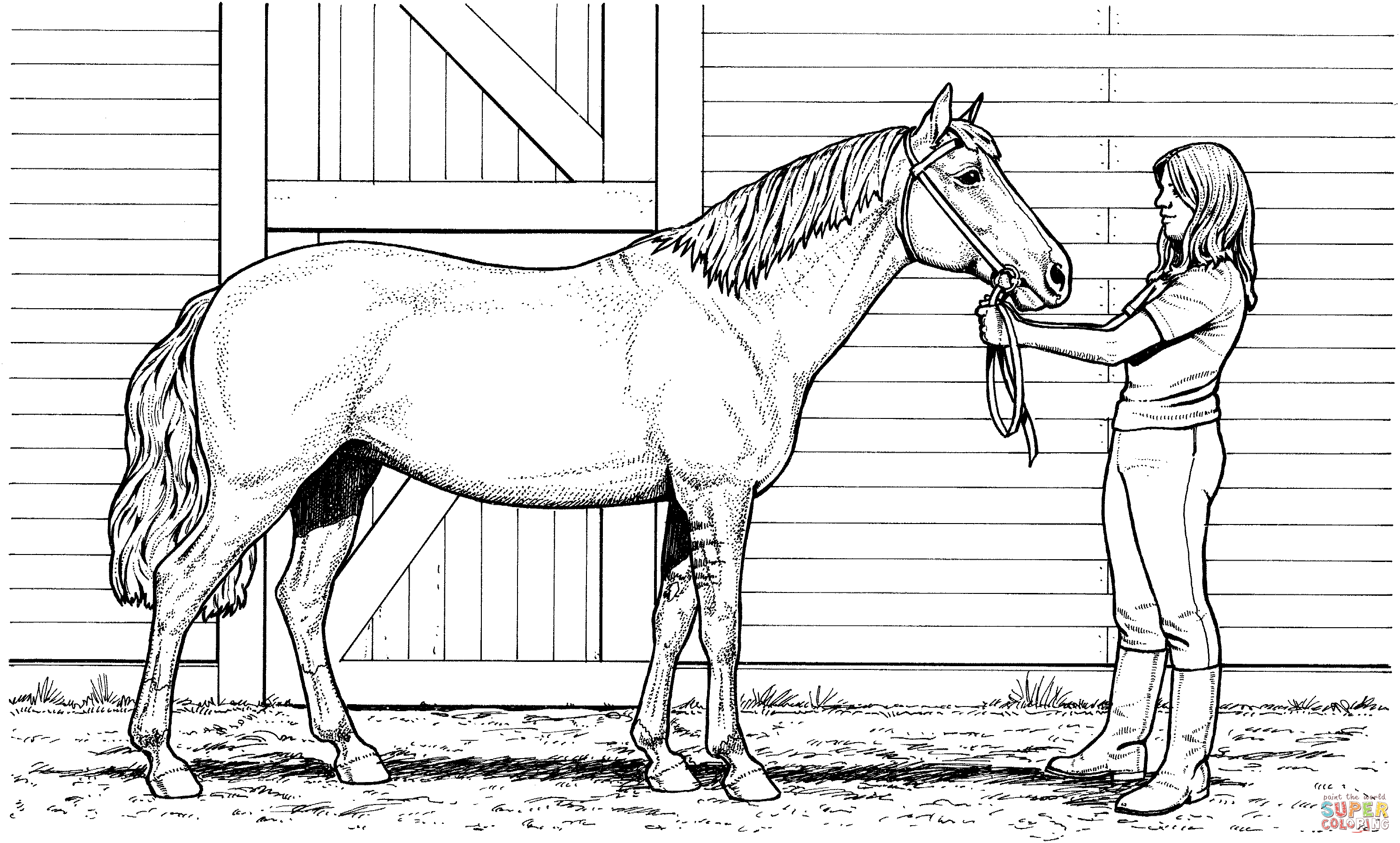 colouring pages of horses