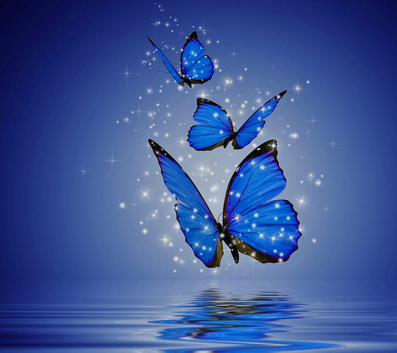 beautiful blue butterfly wallpaper