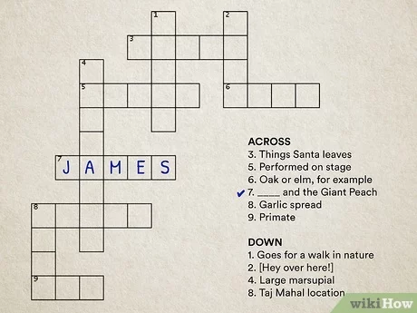 beginners crossword clue 8 letters