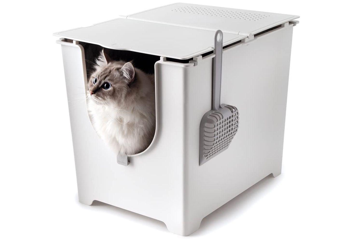 best rated cat litter box