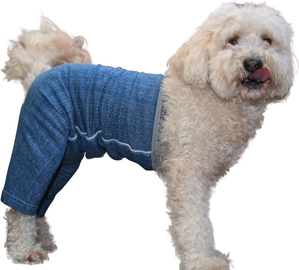 incontinence pants for dogs