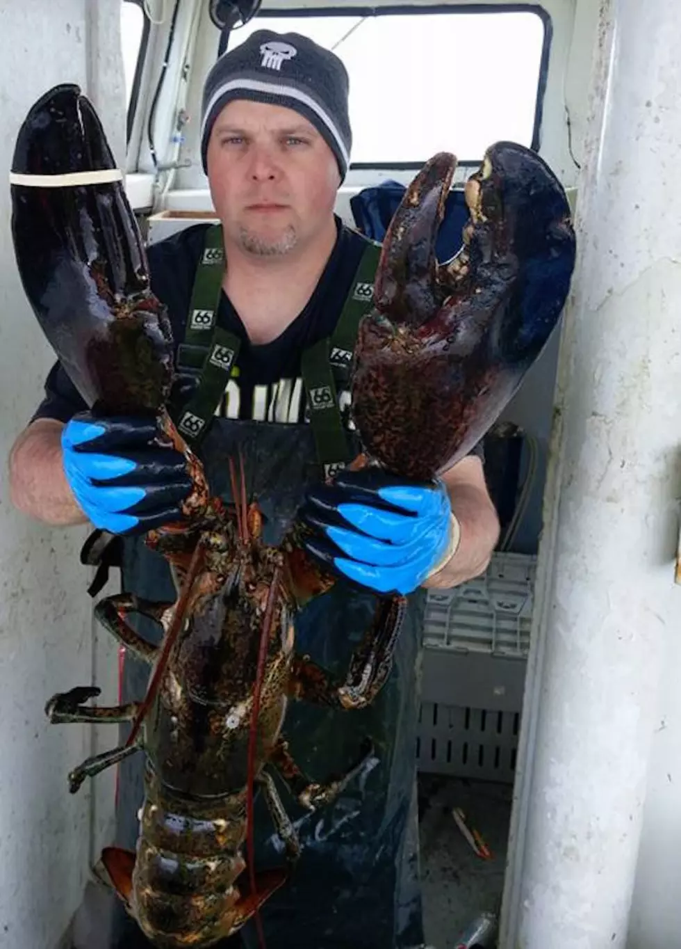 biggest lobster ever caught