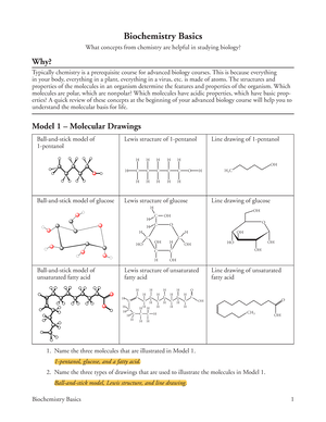 biochemistry basics pdf answers