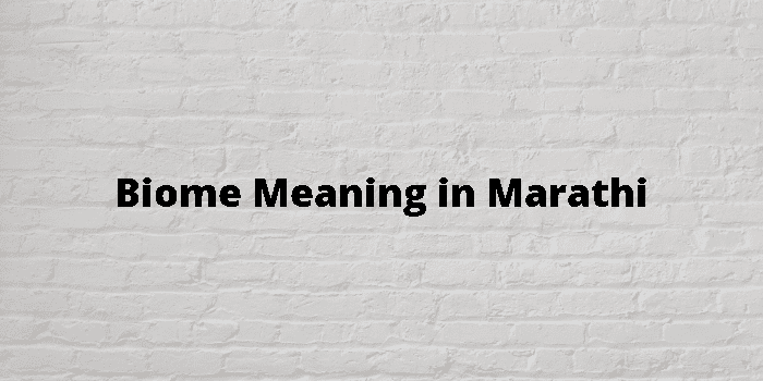 biome meaning in marathi