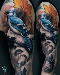 blue jay tattoo ideas