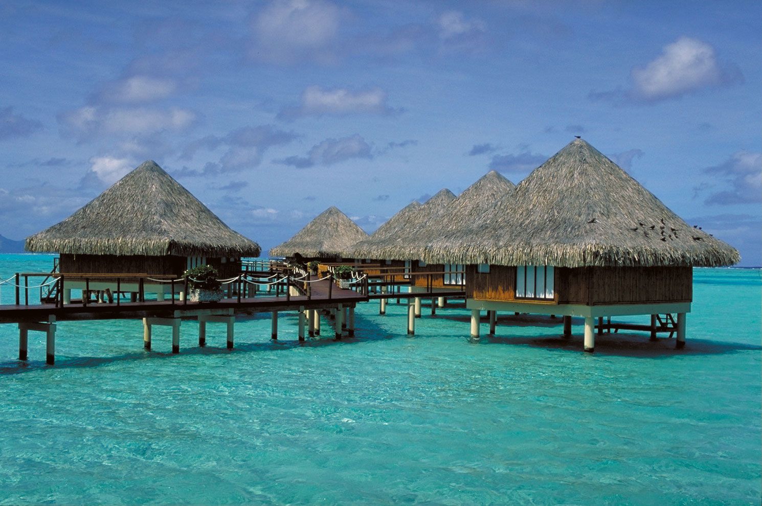 bora bora island pictures