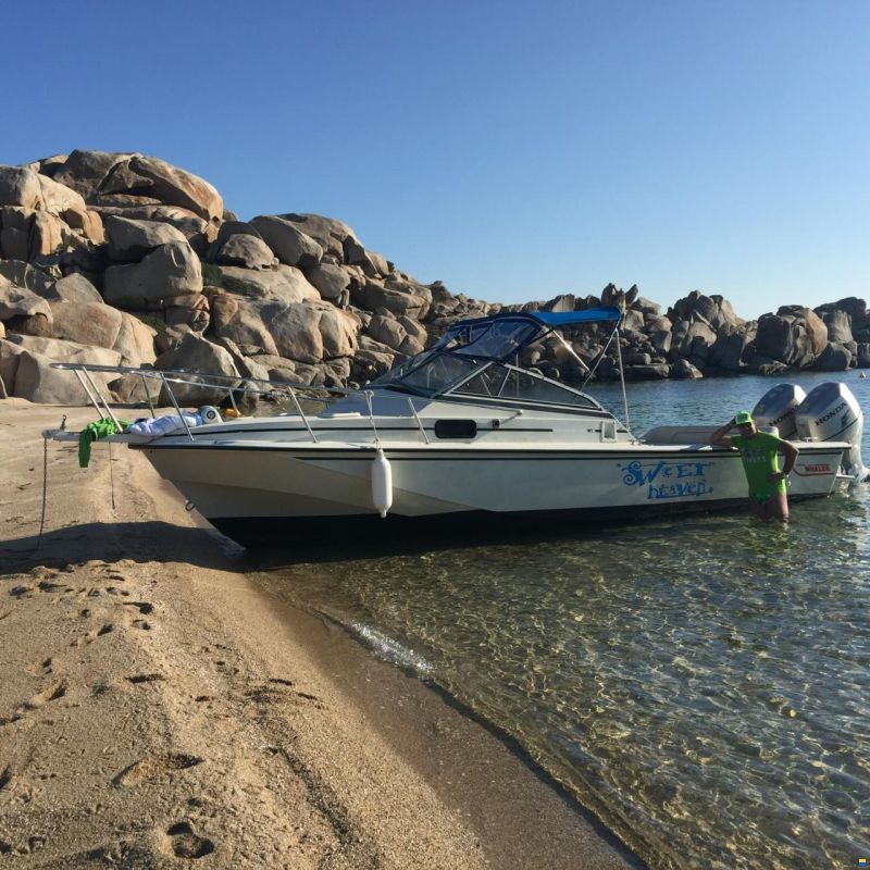 boston whaler revenge