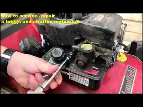 briggs stratton carburettor