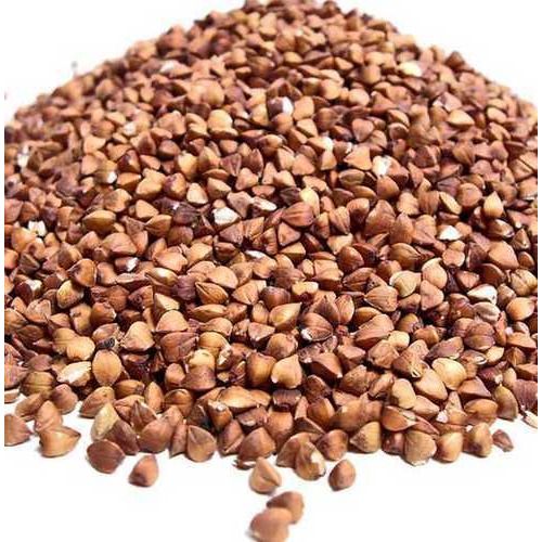 buckwheat meaning in telugu