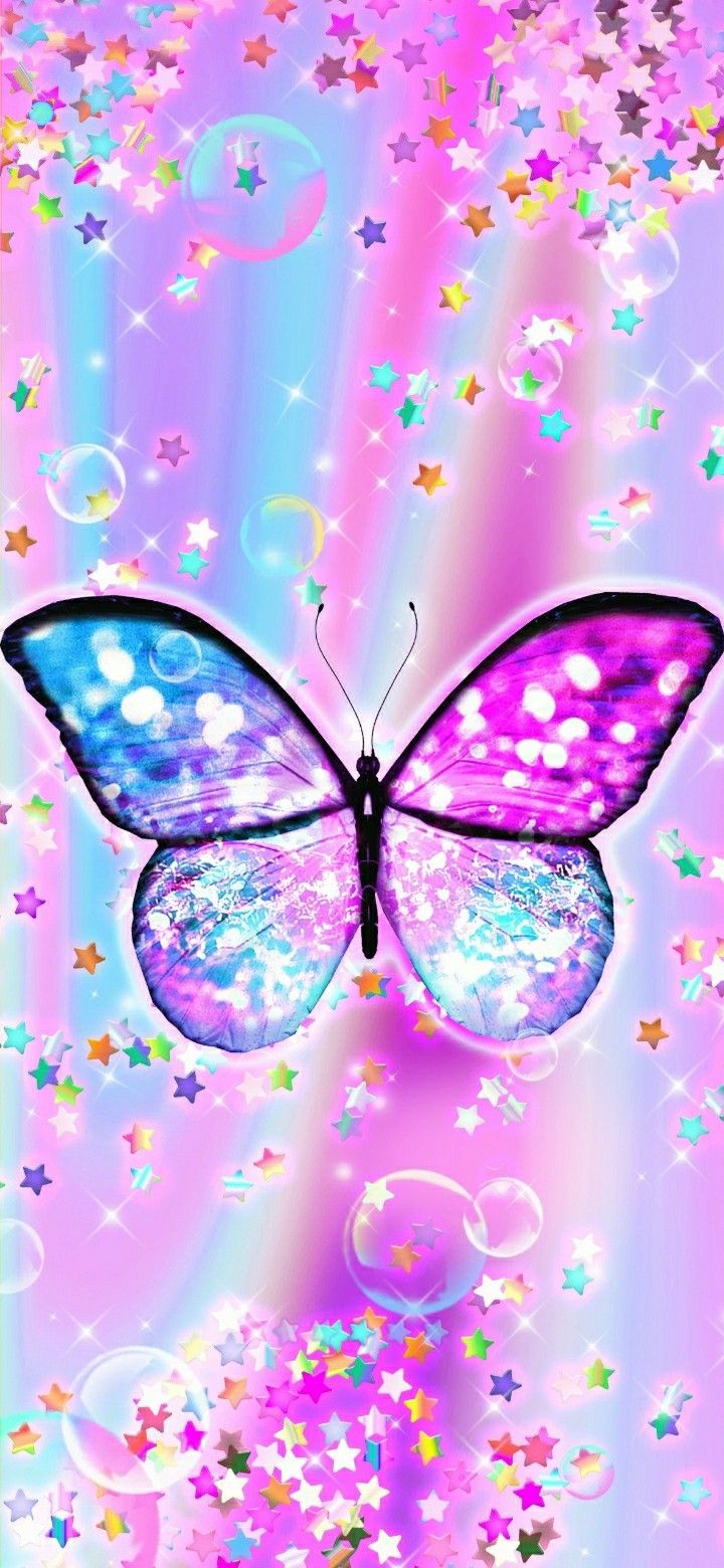 butterfly colorful wallpaper