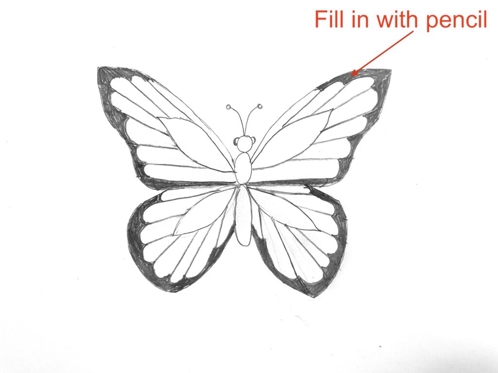 butterfly draw easy