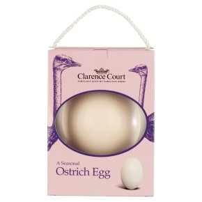 buy ostrich egg uk