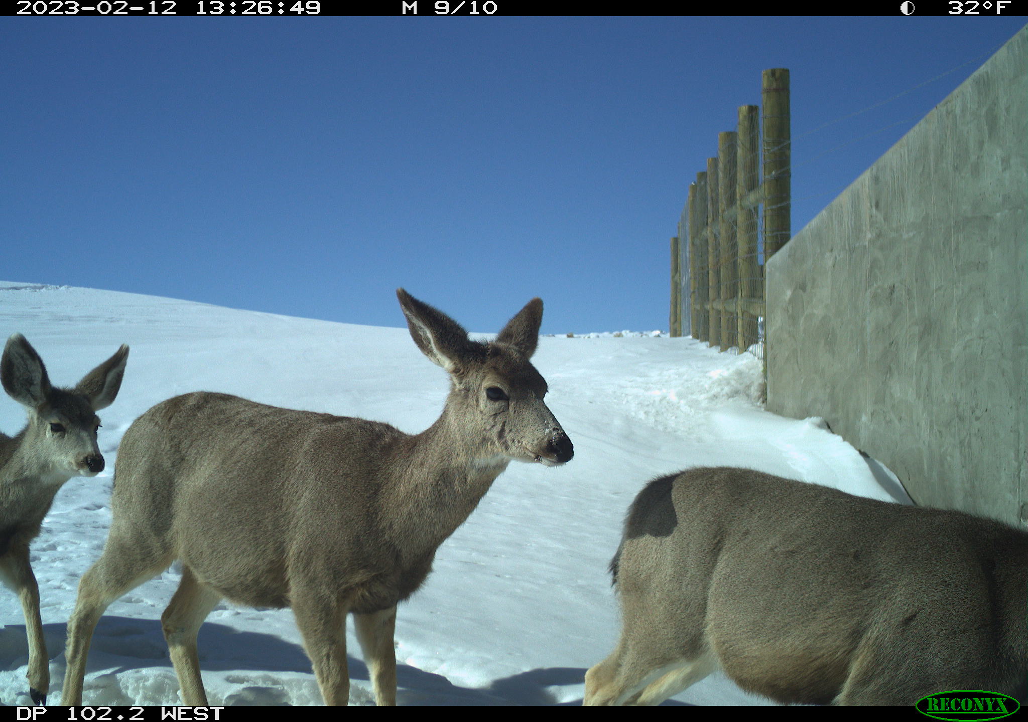 wydot cameras