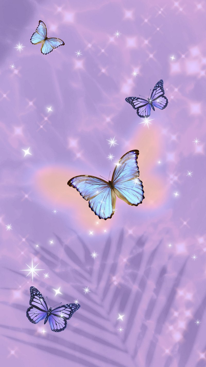 beautiful butterfly wallpaper