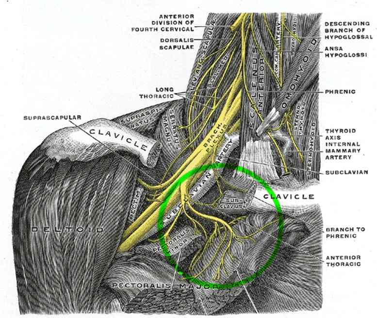 vibration feeling in chest