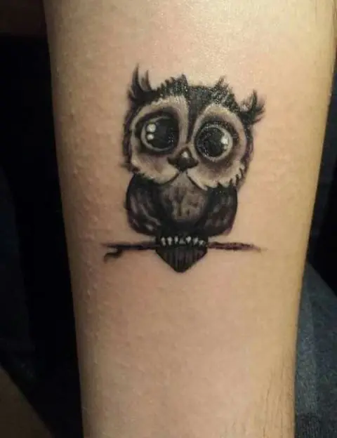 little owl tattoo