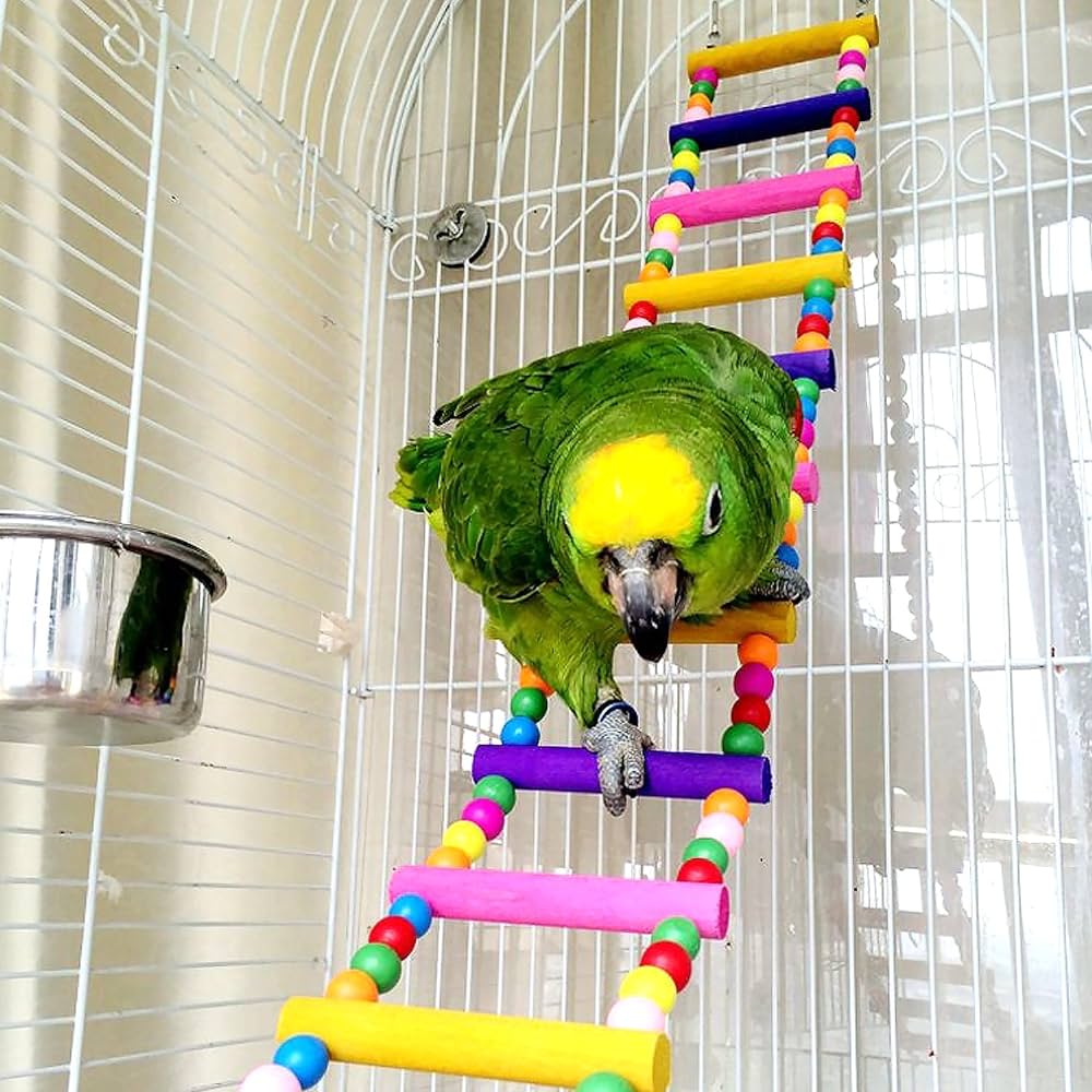 parrot toys amazon