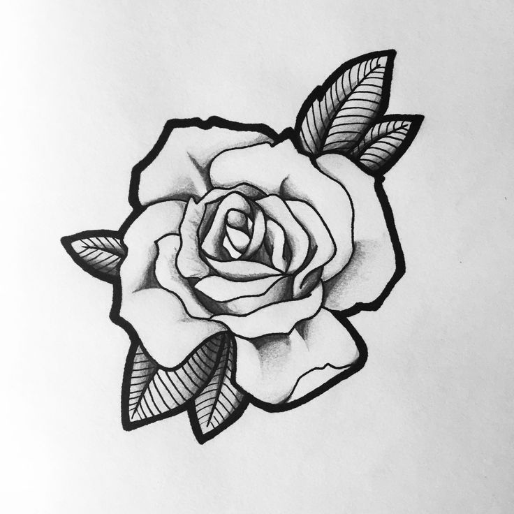 rose tattoo drawing