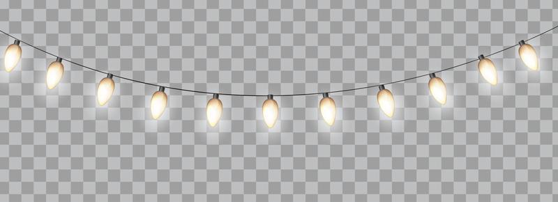 hanging string lights transparent background