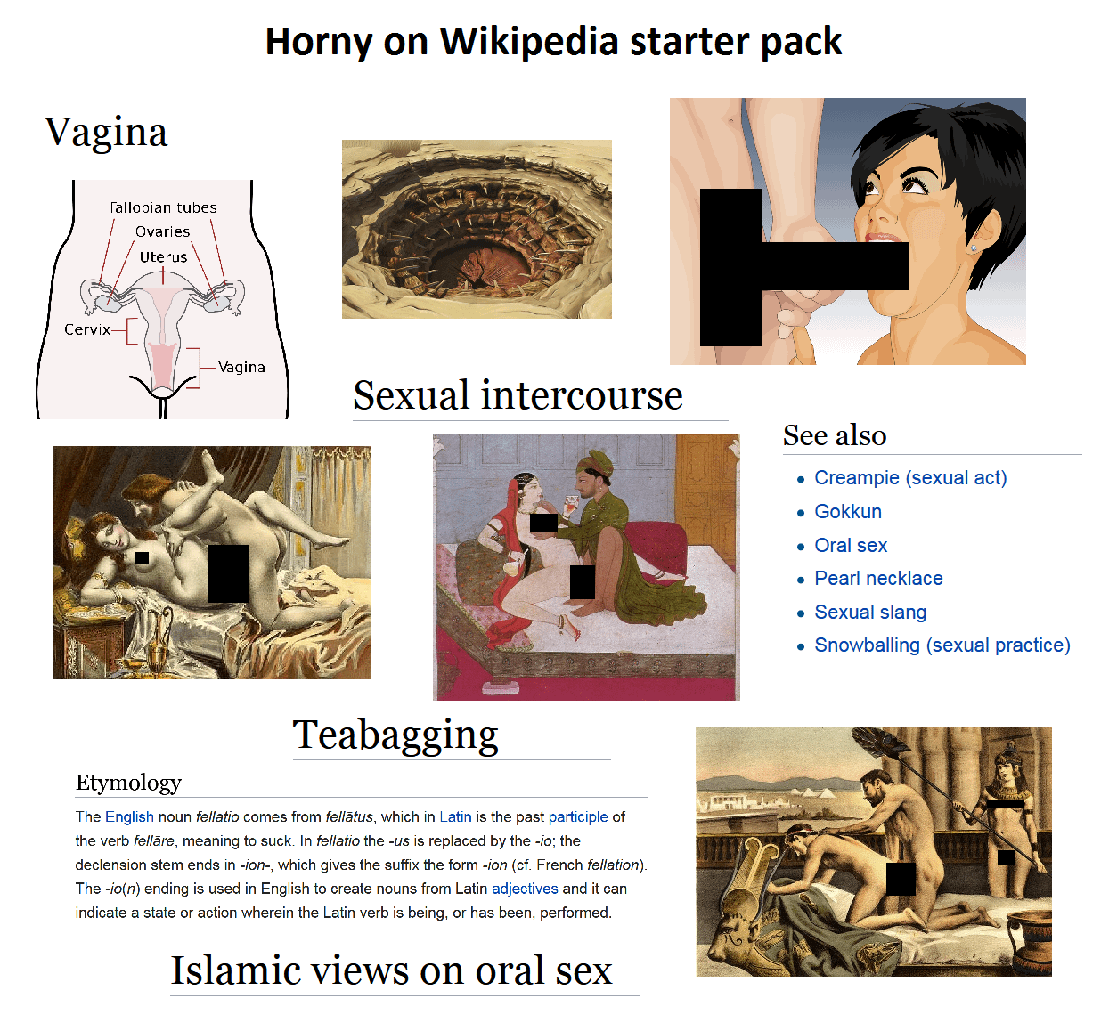 sexual intercourse wikipedia