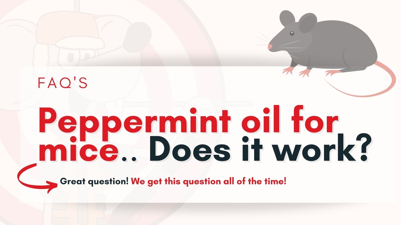 mint oil for mice