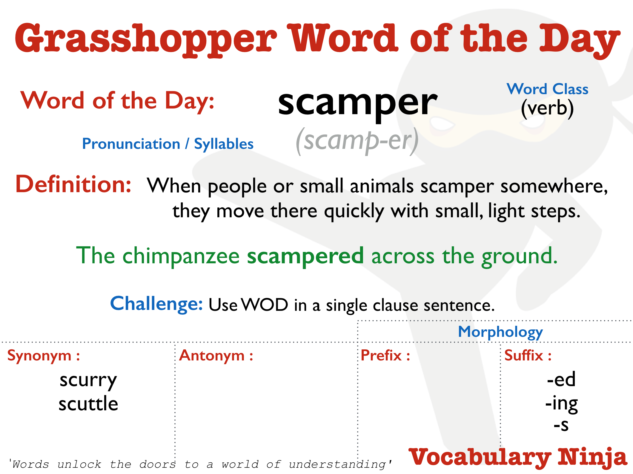 scamper antonym