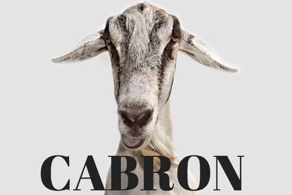 cabron meaning