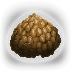 ark wiki dodo egg