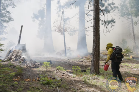 calaveras burn day