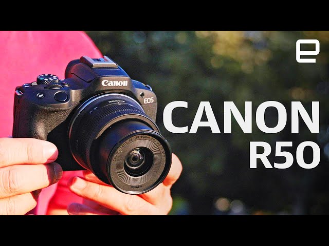 canon r50 reviews