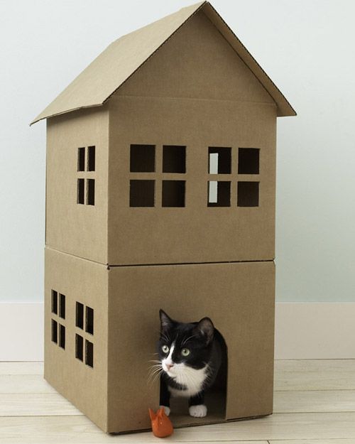 cardboard diy cat house