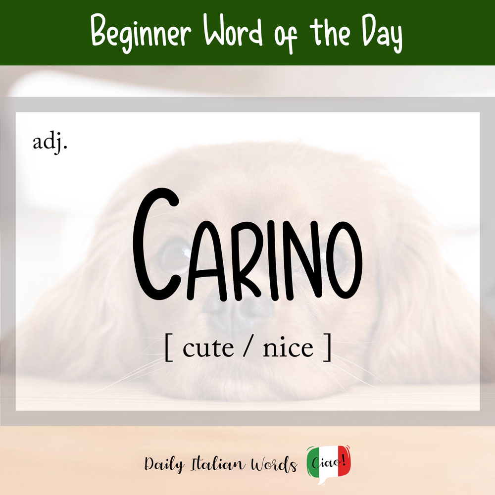 cariño in english