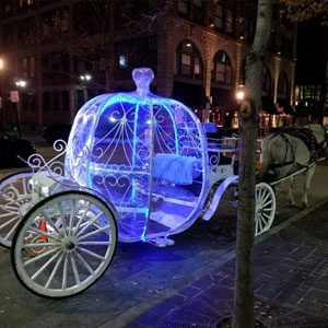 carriage rides chattanooga tn