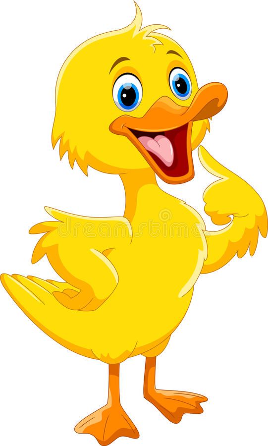 cartoon duck photo