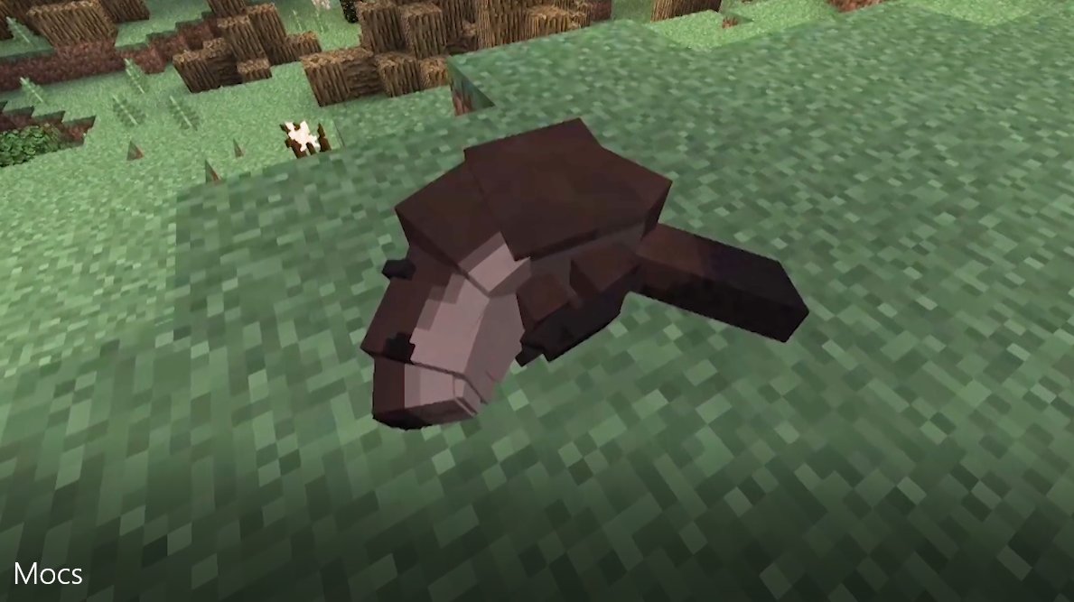 castor minecraft