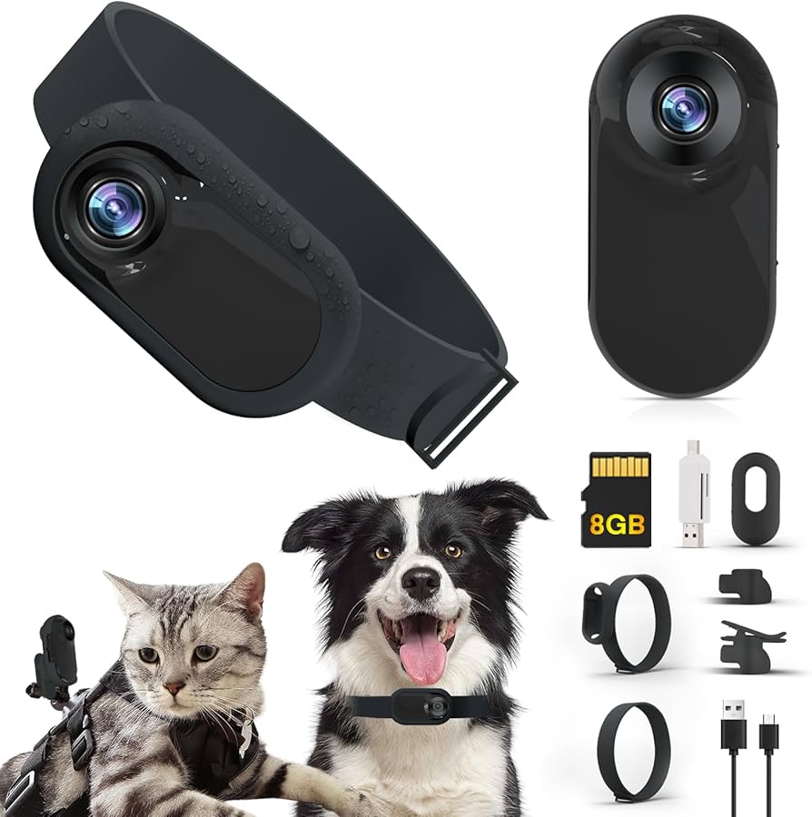 cat camera for collar