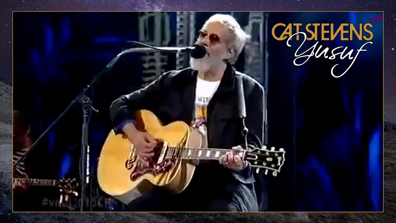 cat stevens father & son