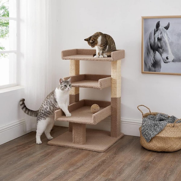 cat towers for big cats