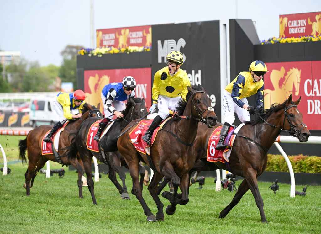 caulfield cup trifecta