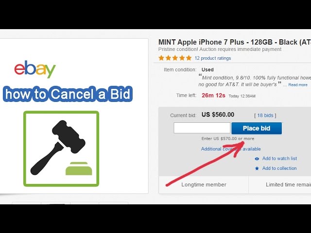 how to remove a bid in ebay