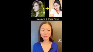 meng jia and wang feifei