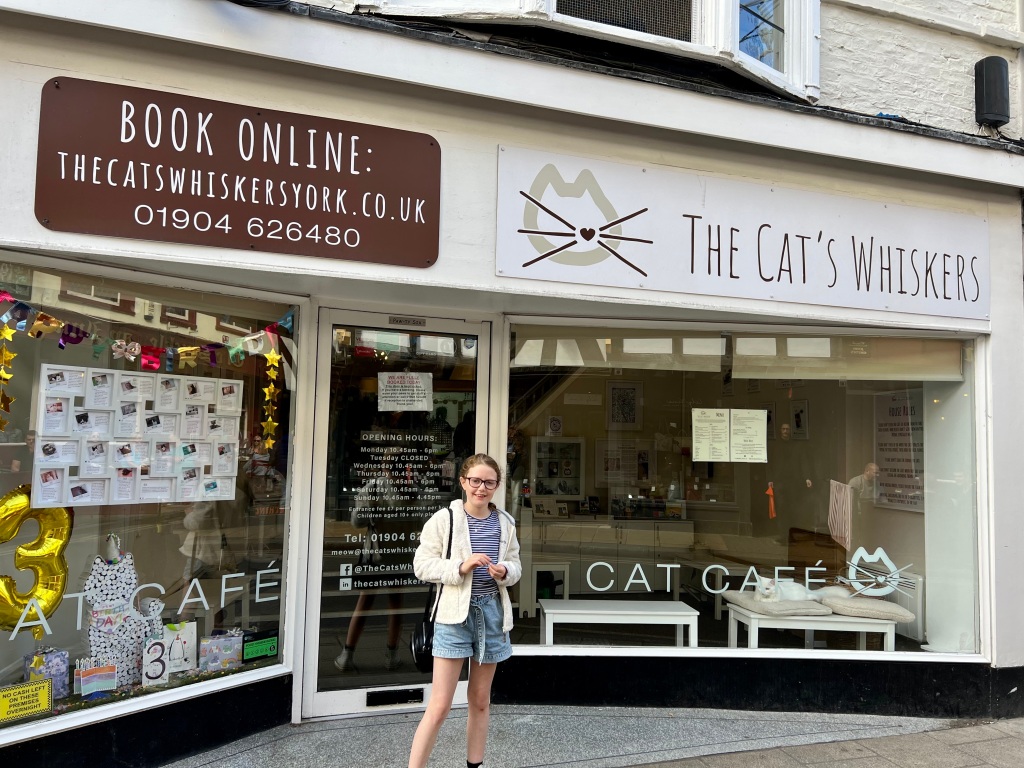 the cats whiskers york