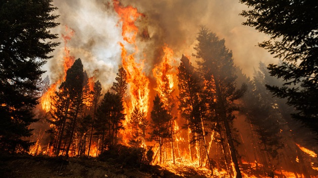 central british columbia wildfires