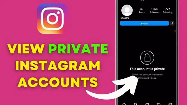 instagram private account viewer online