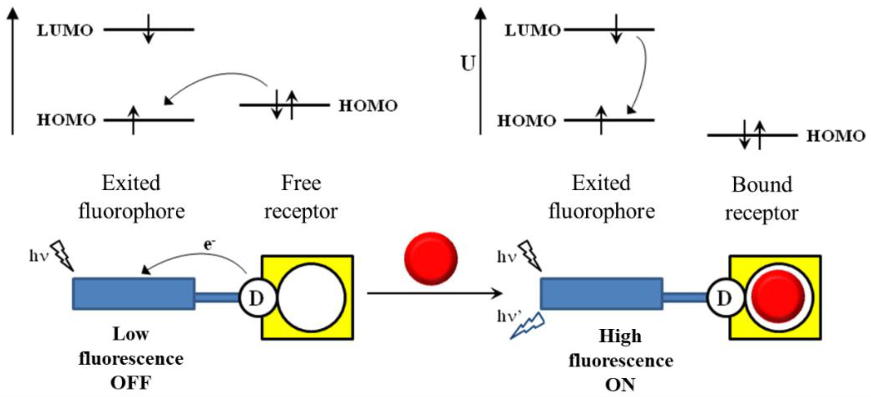 chemosensors